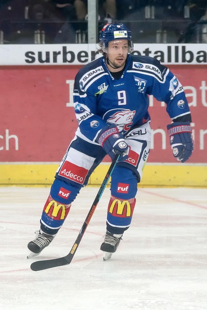 仅显示了国 仅显示了国