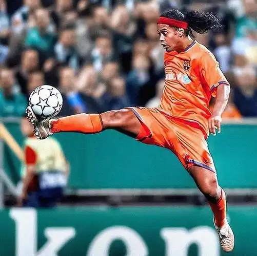 埋下了伏笔 埋下了伏笔