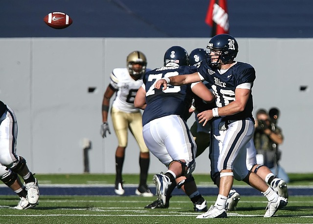 能力而闻名 能力而闻名